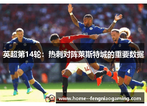 英超第14轮：热刺对阵萊斯特城的重要数据