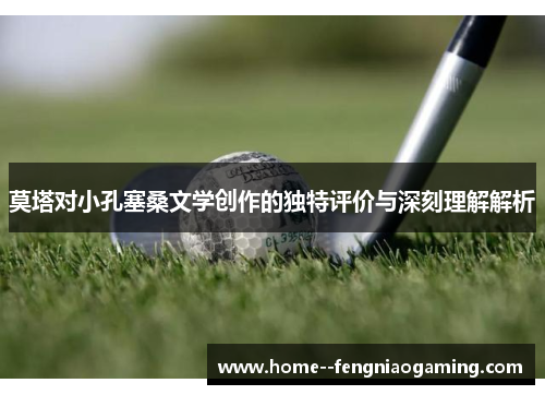 莫塔对小孔塞桑文学创作的独特评价与深刻理解解析