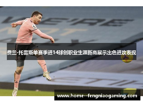 费兰-托雷斯单赛季进14球创职业生涯新高展示出色进攻表现
